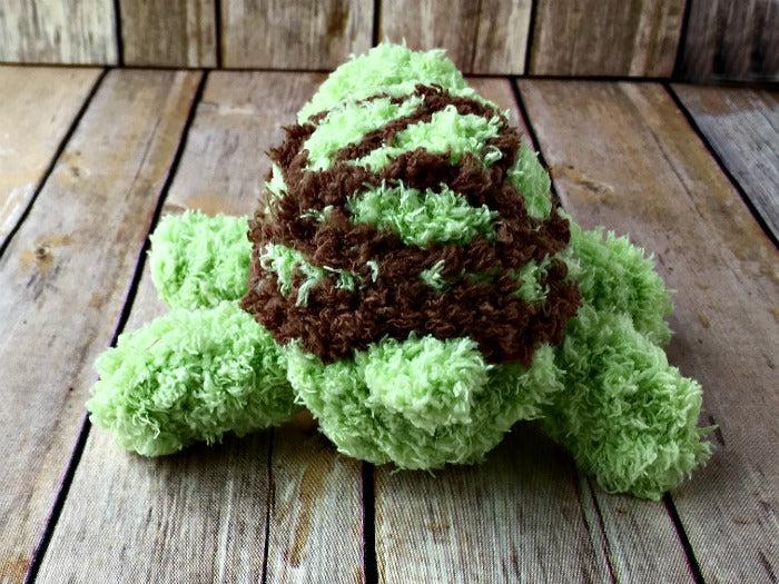 Pipsqueak Turtle