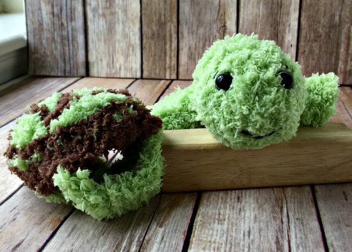 Pipsqueak Turtle