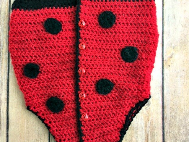 Spring Ladybug Onesie