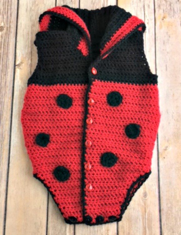 Spring Ladybug Onesie