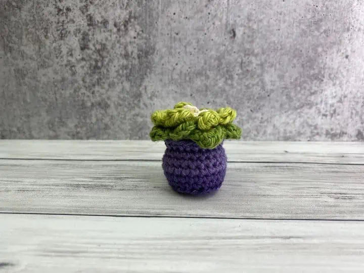 Mini Crochet Succulent