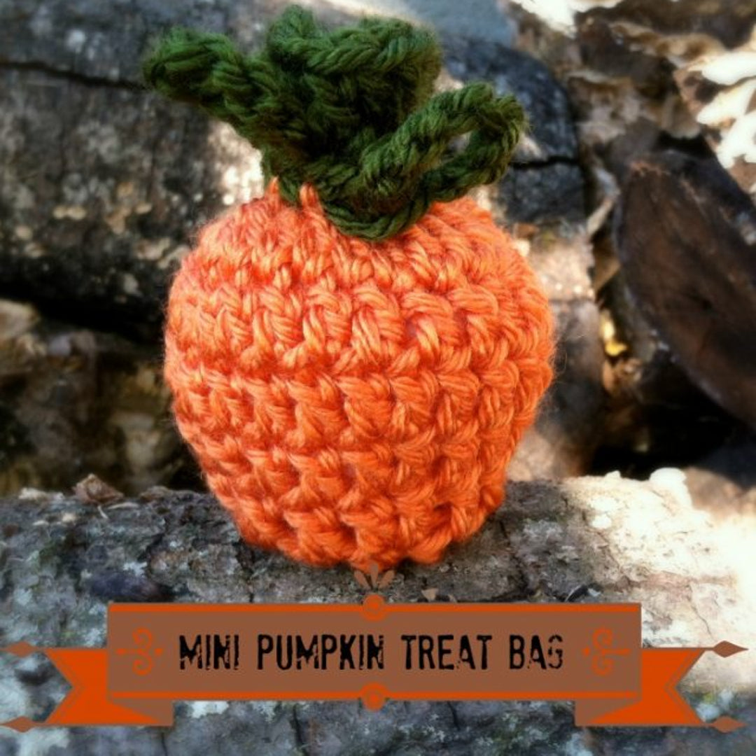 Mini Pumpkin Treat Bag